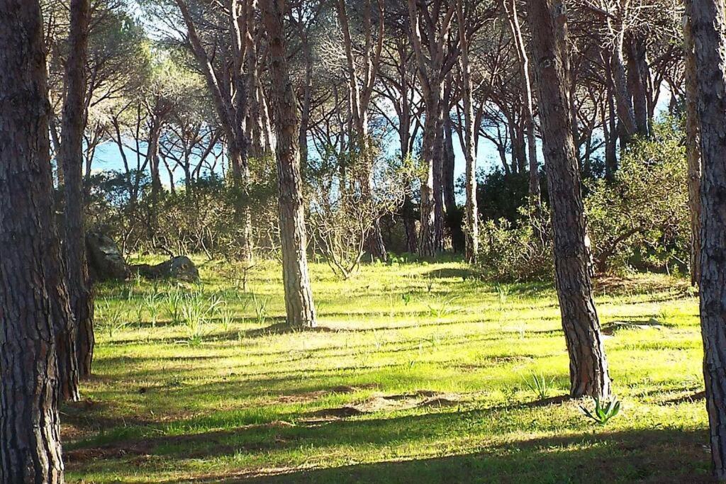 Appartamento 260M Dalla Spiaggia Budoniaffitti מראה חיצוני תמונה